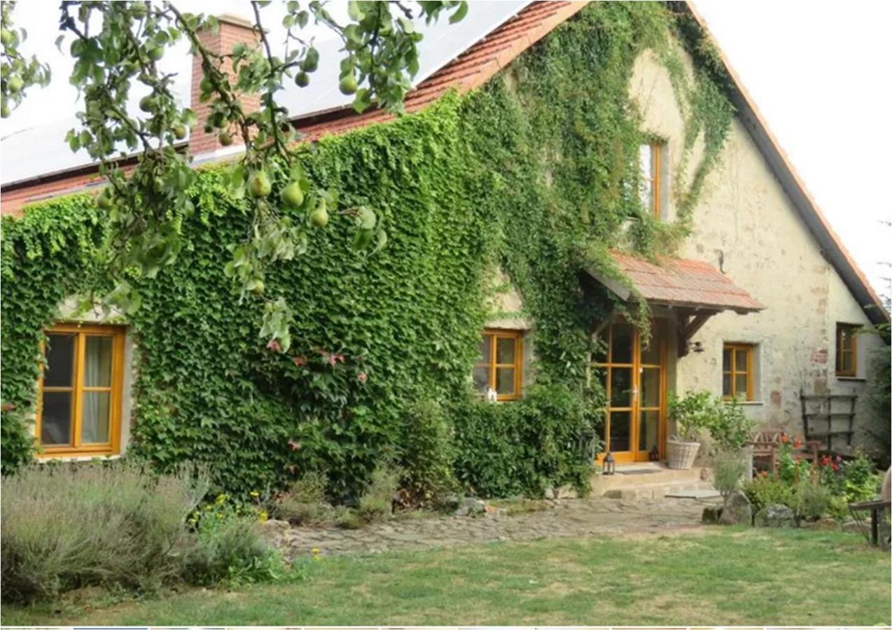 Haus Falkenhof Knüllwald Exteriér fotografie